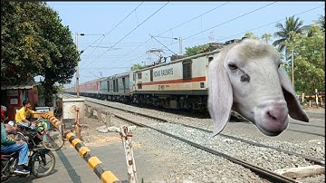 GOAT Headed Aggressive Mumbi Mail Dangerous & Furious Moving Out At Railgate