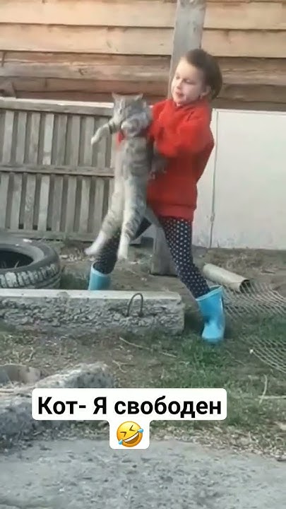 Бдный кот, но он будет свободен😀 - YouTube