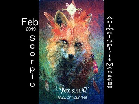 SCORPIO SPIRIT ANIMAL MESSAGE/FEBRUARY, 2019