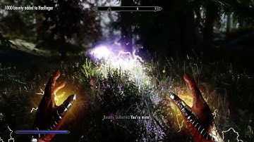 Day 1415 - Killing Nazeem Every Day Until Elder Scrolls 6 is Released