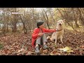 최고의 말벗인 장미와 명자 씨 [동물극장 단짝] | KBS 231125 방송