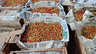 Proses muat cabe rawit muntilan to batam