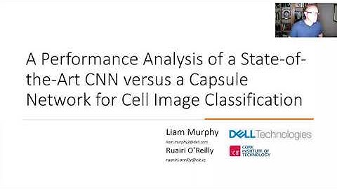 Performance Analysis of State-of-the-Art CNN versus a Capsule Network for Cell Image Classification