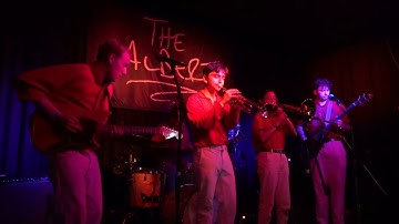 Tigers and Flies, Bat and Ball, The Albert, Brighton, 23/07/22