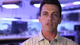 Scion Magazine 18 Exotic Fish