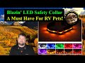 Blazin&#39; LED Safety Dog Collar Review - Best dog collar 2020