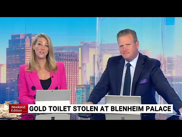 Thieves Steal Gold Toilet Valued At $1.8 Million From A UK Palace Thieves Steal Gold Toilet Valued At $1.8 Million From A UK Palace