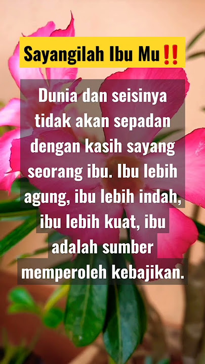 sayangilah ibumu #shorts #quotes #storywa #storyislami