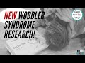 New Embark Vet Research and the Future of Wobbler Syndrome in Dogs