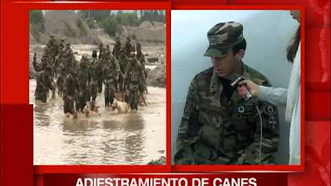 CENTRO DE ADIESTRAMIENTO DE CANES DETECTORESDE DROGA  BOLIVIA