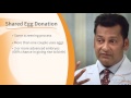 About Egg Donation: What is Shared Egg Donation?