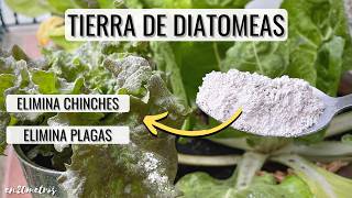 TIERRA DE DIATOMEAS: elimina hasta chinches de cama, fertilizante y desparasitante || en20metros