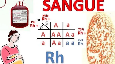 Quais os principais antígenos do sistema Rh?