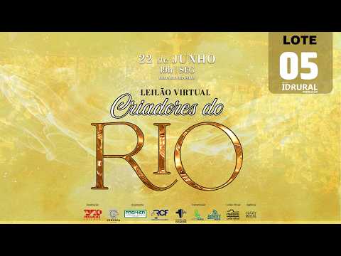 LOTE 05