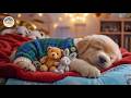 12 Hours of Dog Sleep Therapy Music 🐕 Dog Calming Music 🌌 Stress Relief with Healing Pet Sounds