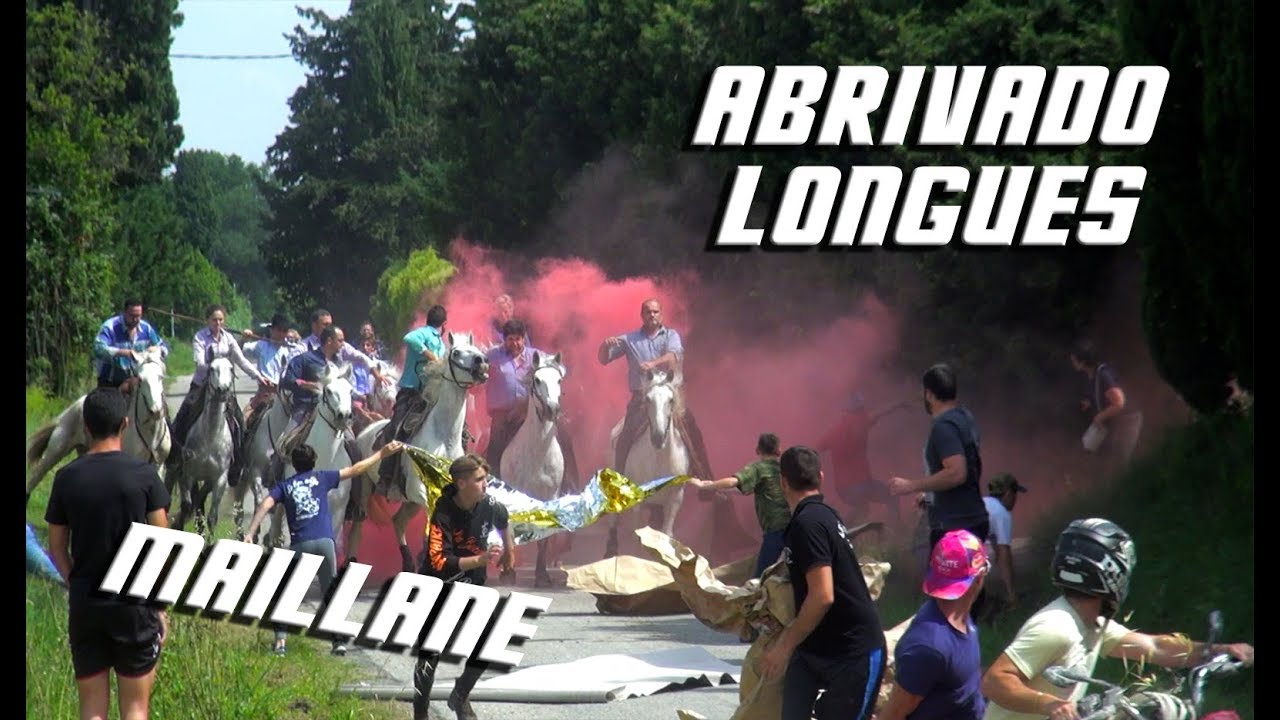 MAILLANE Festival Abrivado Longues 03-06-2018 🐴