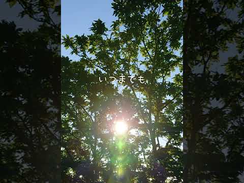 Love is…/河村隆一【歌ってみた】【弾いてみた】