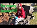 How Well Did Our Ryobi 100 AH Battery Powered Riding Lawn Mower Pick Up Leaves!