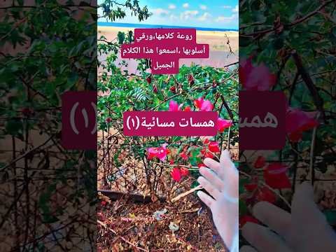 همسة مسائية ١ كلام من ذهب للدكتورة هيفاء يونس بودكاست تصويري دينية اكسبلور ترند كلام من ذهب