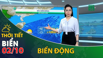 Thời tiết biển ngày 02/10/2021:Khu vực bắc biển Đông gió mạnh, biển động | VTC14