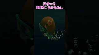 スター？ BGM：カルちゃん【アナケナ&カルちゃん】あつ森 Animal Crossing: New Horizons