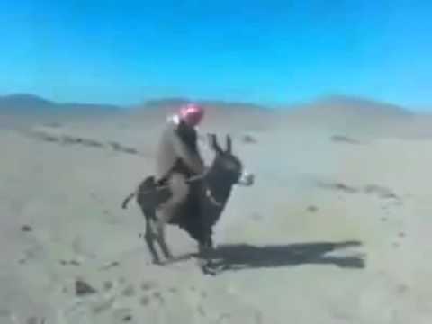 فارس الفرسان