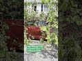 Understanding Sudden Damage vs Wear & Tear
