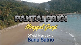 PANTAI PRIGI NINGGAL JANJI - BANU SATRIO (  Music Lyric )