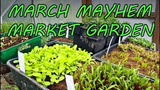 MARCH in the Market Garden is BUSY (and BABY ANIMAL UPDATE)