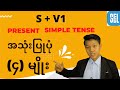 Present simple tense  