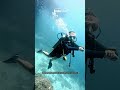 EPISODE 18 : Is "Blue Magic" Actually Real? Inside the Pinnacle That Breaks Science | IndoDiveX
