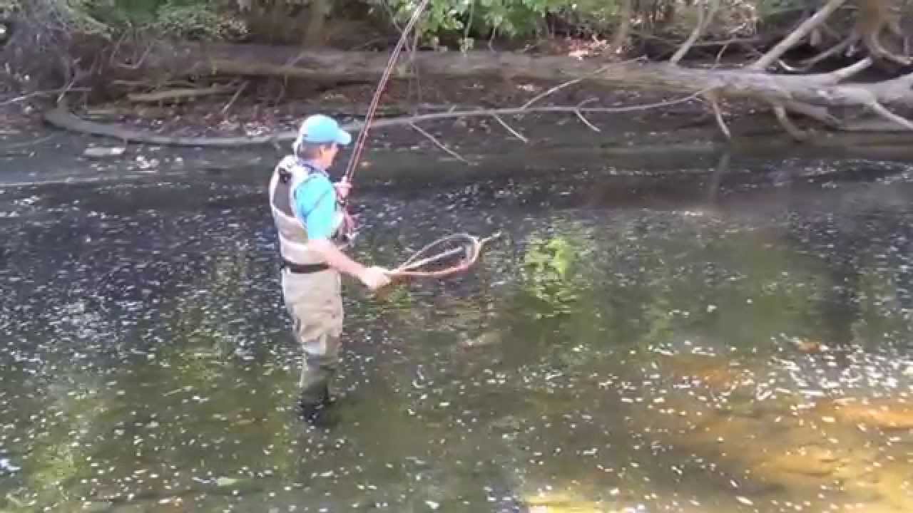 Netting a fish with a NetStaff® YouTube