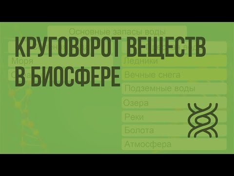 Круговорот веществ в биосфере. Видеоурок по биологии 11 класс