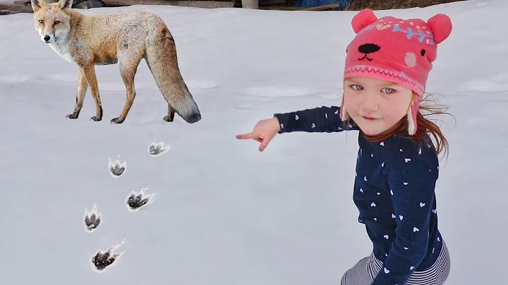 MYSTERY ANiMAL TRACKS!! Exploring our Cabin in Fro...