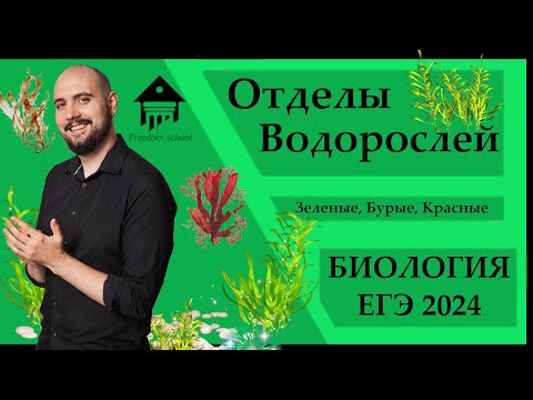 ВОДОРОСЛИ для ЕГЭ 2024 |ЕГЭ БИОЛОГИЯ|Freedom|