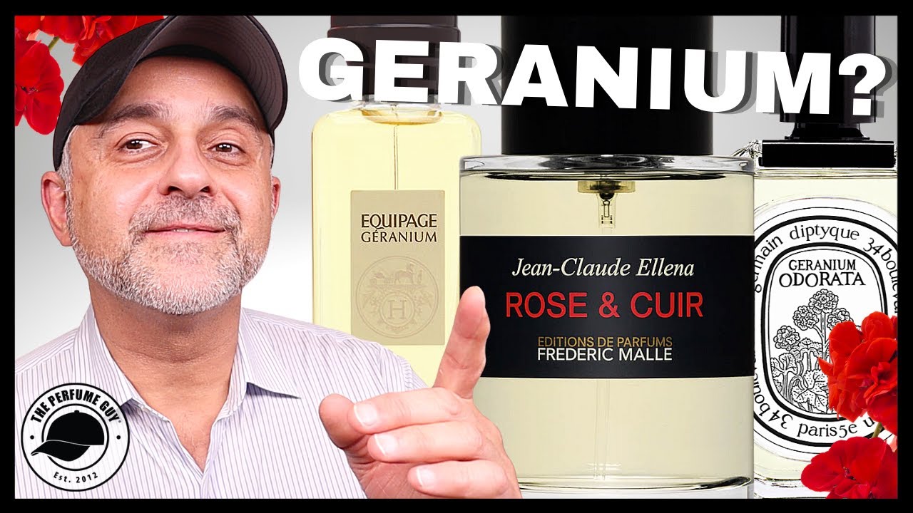 What Do Geraniums Smell Like  