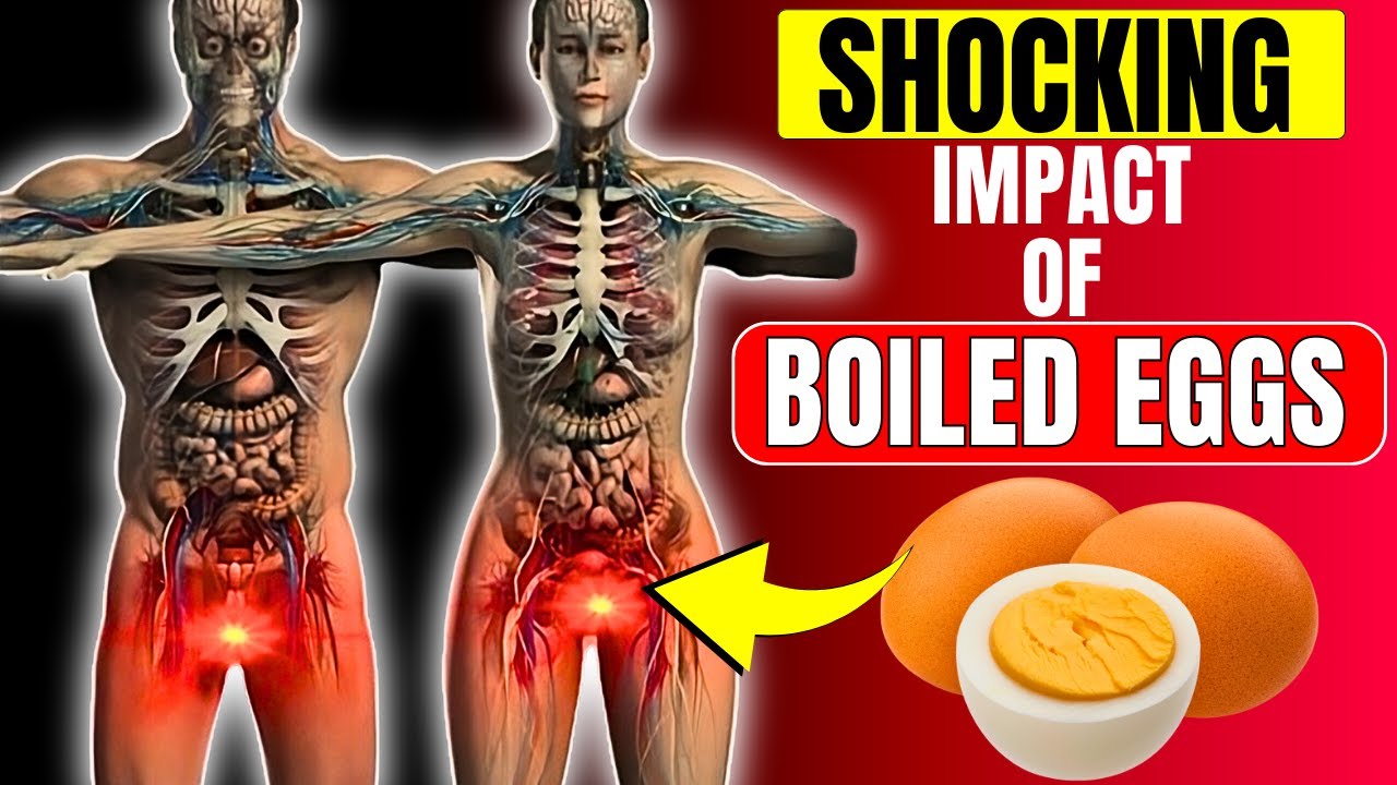When You Eat 2 Eggs Every Day Here s What Happened To Your Body YouTube when-you-eat-2-eggs-every-day-here-s-what-happened-to-your-body-youtube