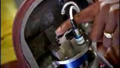 Understanding Car Crashes  - When Physics Meets Biology