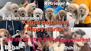 सब से सस्ती । Puppy market | karnal
