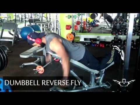 Cable face pull and dumbbell reverse fly combo