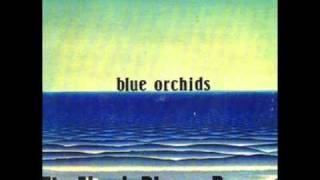 BLUE ORCHIDS the flood 1980 chords