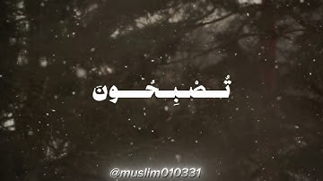 سورة الروم، من الآية 17، القارئ محمد صديق المنشاوي