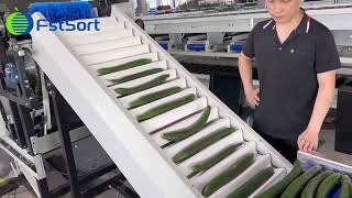 Factory Price cucumber optical grading machine,Gherkin processing plant,Vegetable packing line