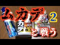 ムカデコロリの威力と凍らすジェットが優秀♪ペットがいても安心！家の周りにバリアを張ってから、その後！【黒柴小梅】虫察知犬