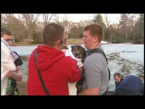 Dog rescued from icy pond [Delaware Online News Vi...