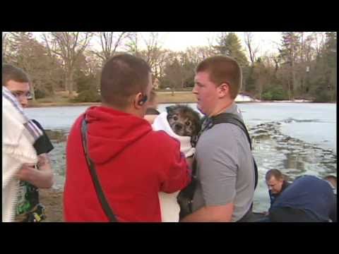 Dog rescued from icy pond [Delaware Online News Video]