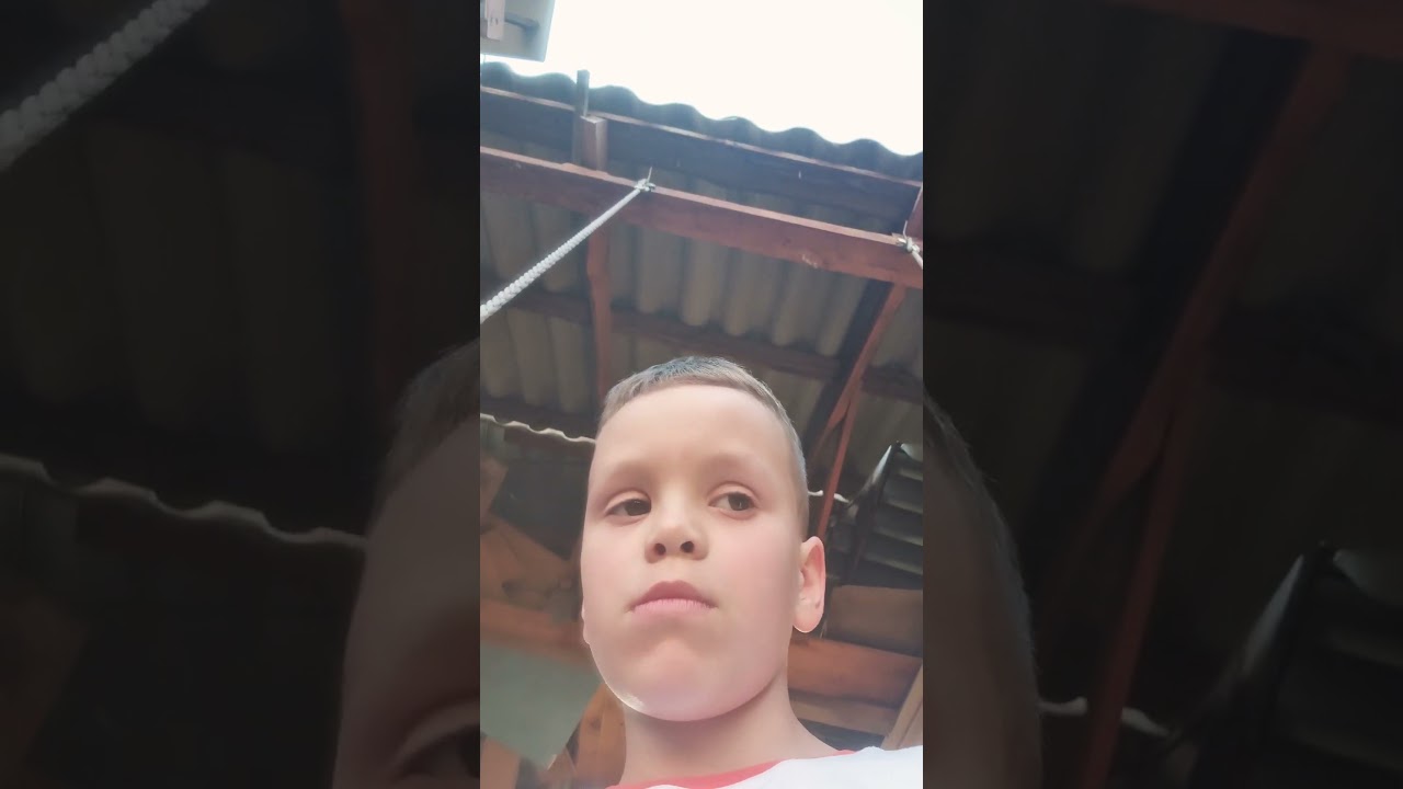 11 июня 2024 г.