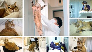 離婚したおじさんが猫を保護した143日間のお話