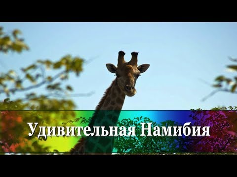 7 фактов о Намибии - в минутном ролике! Почему стоит ехать в Намибию?