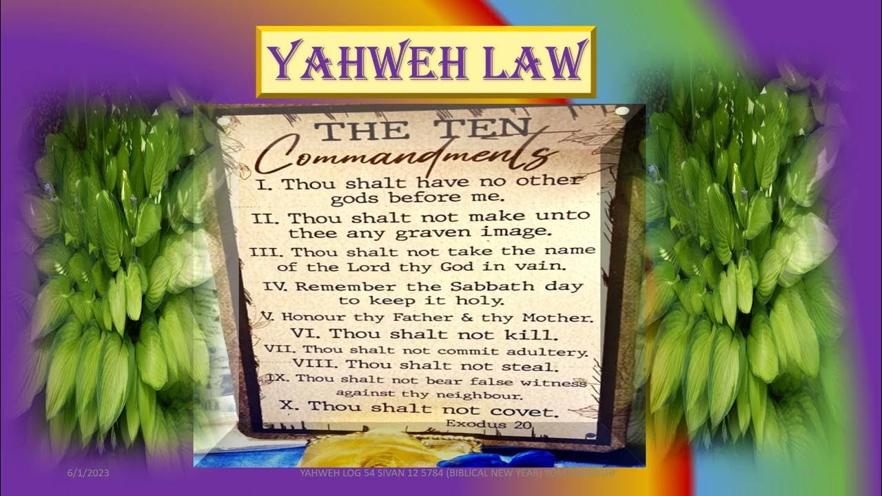 YAHWEH LAW YouTube